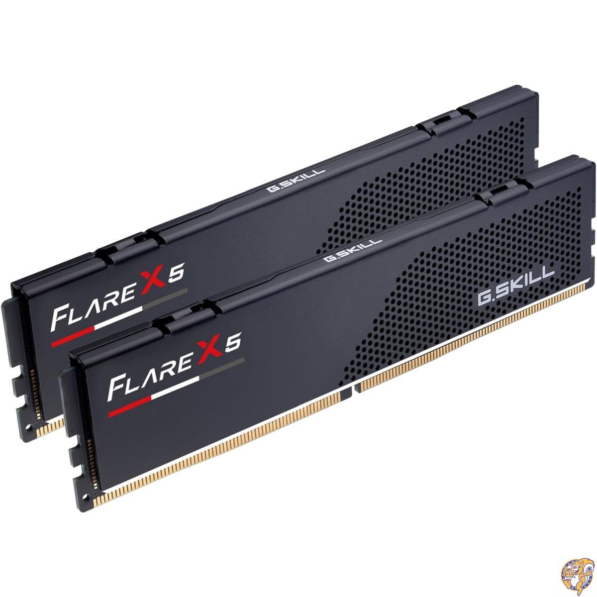 G.SKILL Flare X5の黒いDDR5メモリーモジュール二枚
