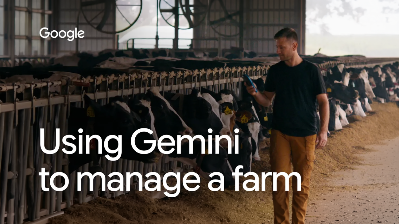 How Gemini Flash agents are helping a Michigan dairy farmer